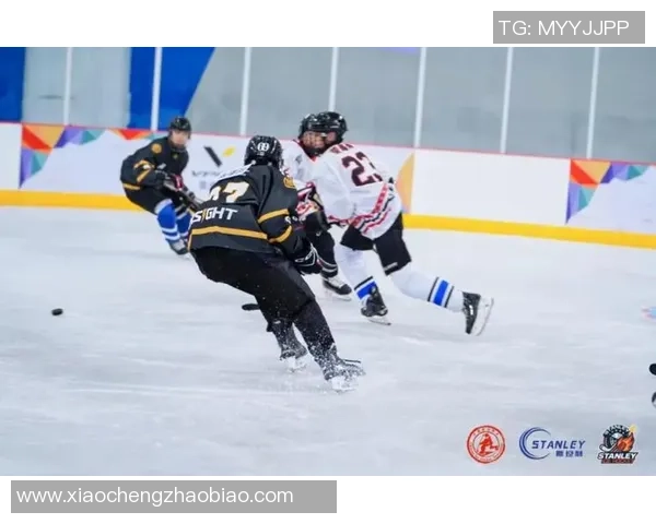 全国3-on-3青少年冰球公开赛总决赛在哈举办